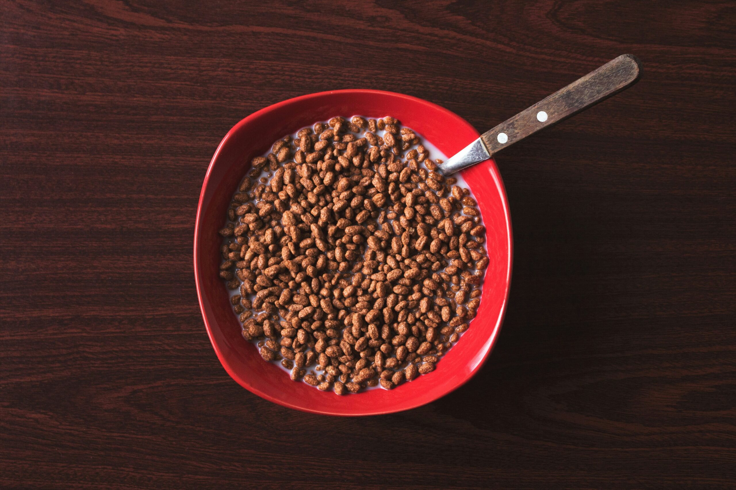 A bowl of specialized hunting dog food topped with nutritional powder supplements.