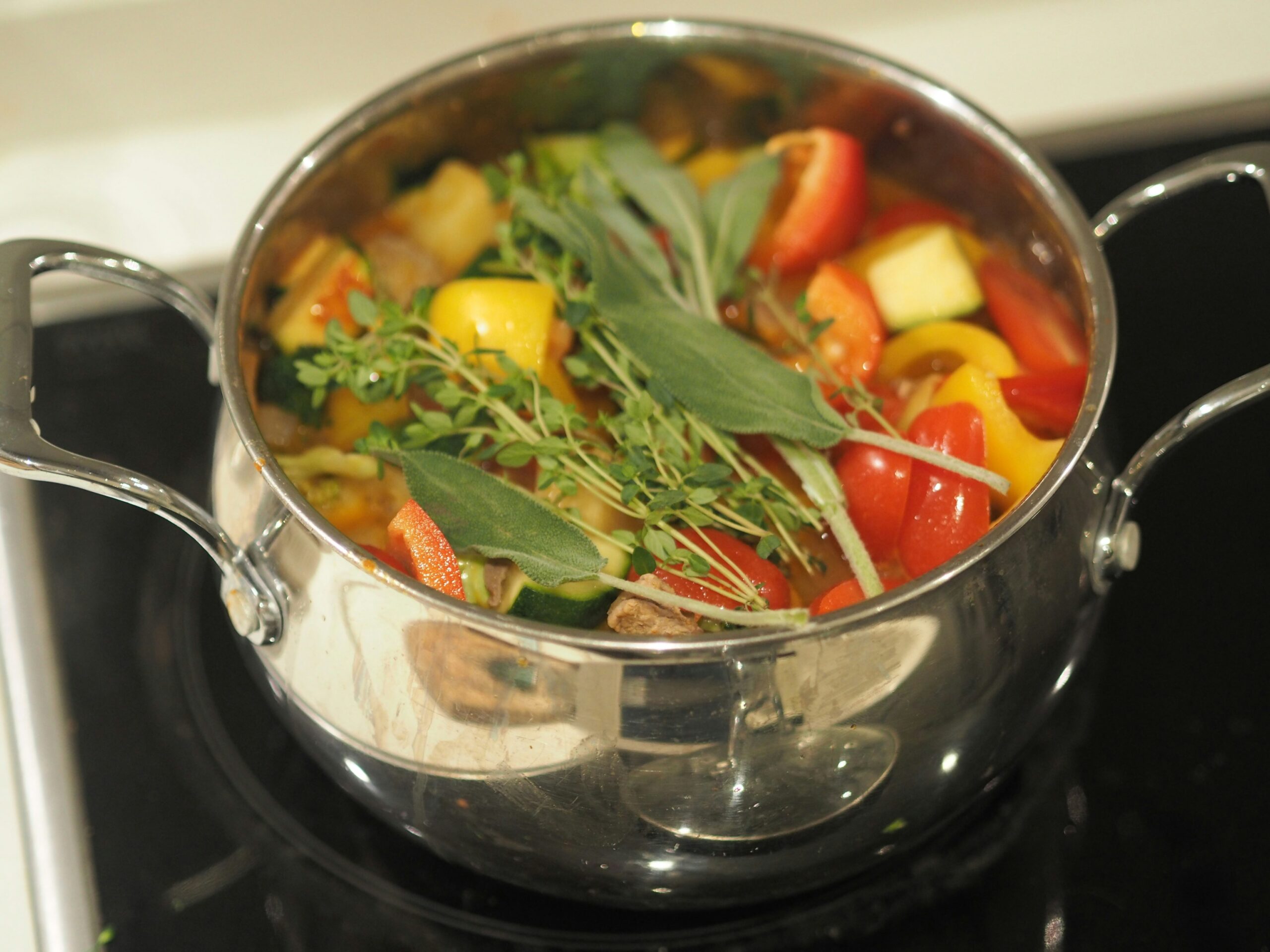 A stainless steel bowl filled with premium dry dog food and fresh vegetables around it.
