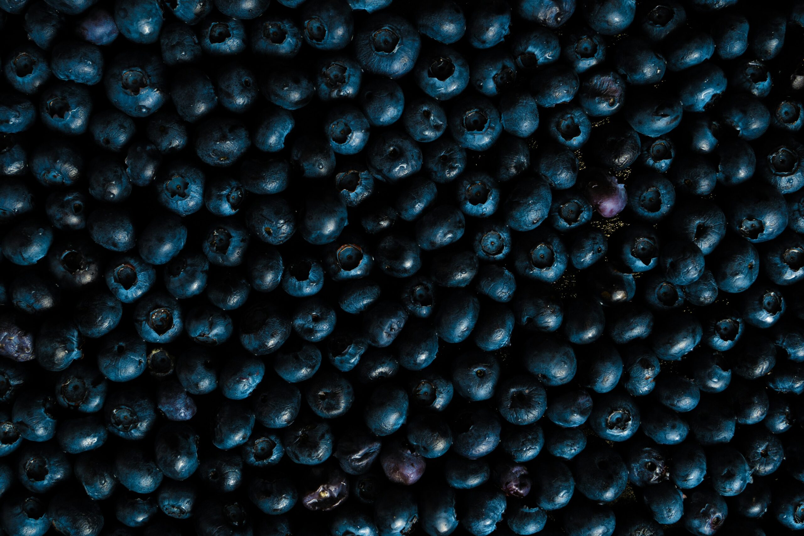 Close-up of fresh blueberries next to dog treats.
