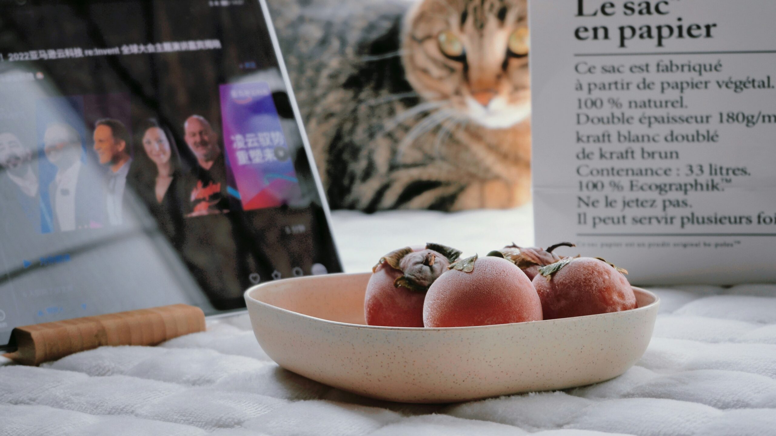 Premium kibble designed for hunting dogs displayed in a bowl