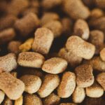 The Ultimate Guide to Hunting Dog Energy Food: Fuel Your Furry Athlete
