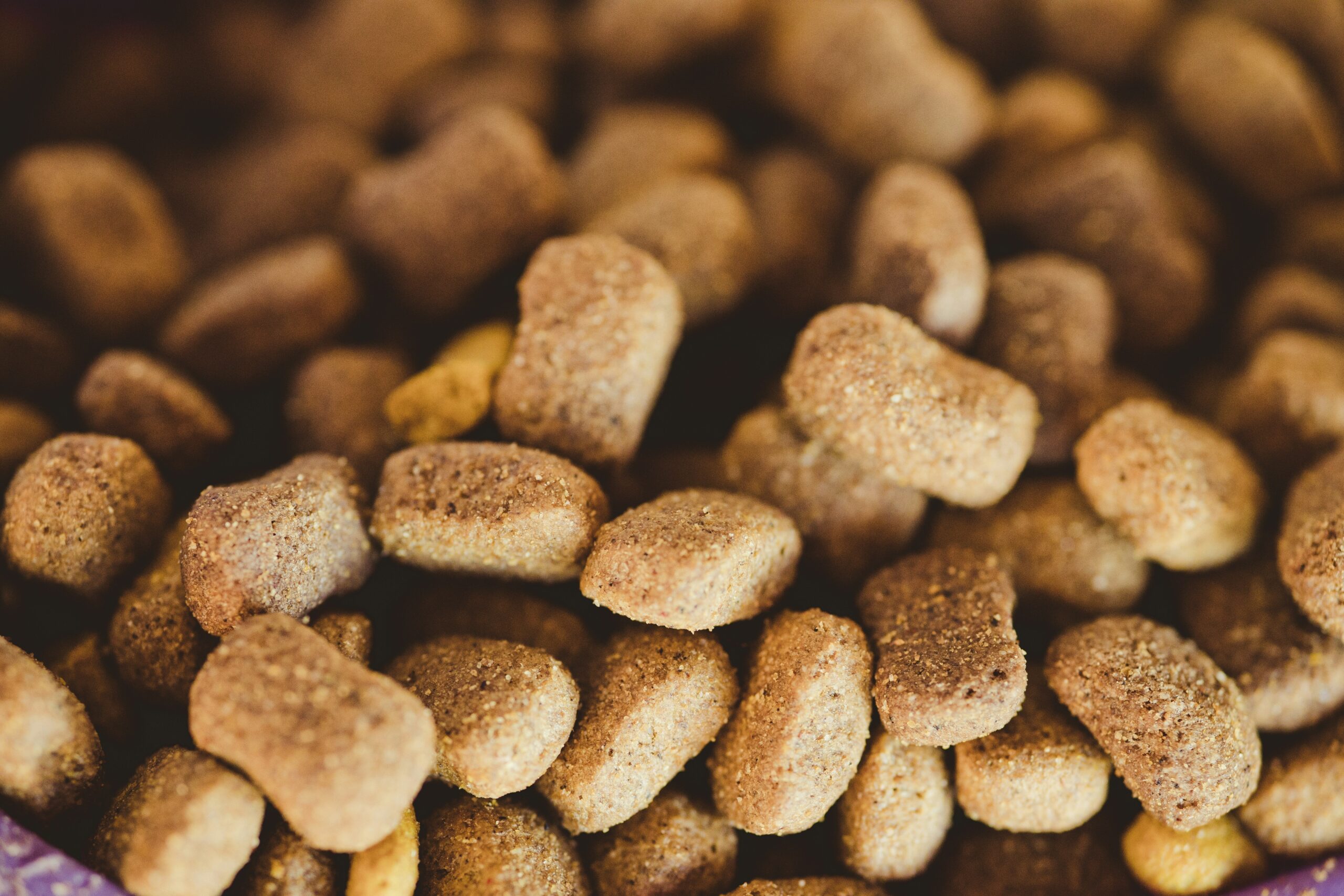 The Ultimate Guide to Hunting Dog Energy Food: Fuel Your Furry Athlete