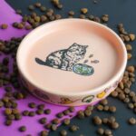 Why Hunting Dog Recovery Food is the Secret Weapon Your Pup Deserves