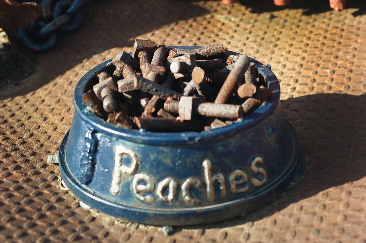 A golden retriever eating a bowl of specialized recovery blend enriched with protein and vitamins.