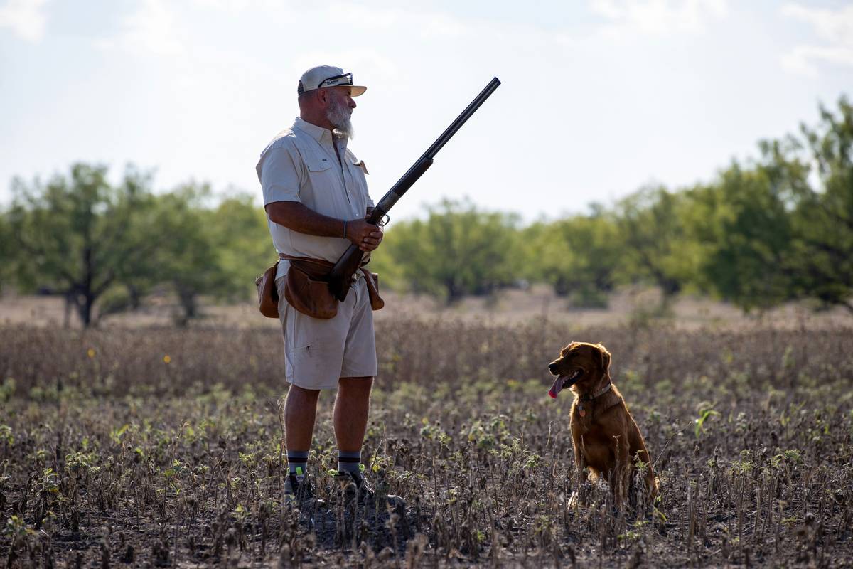 A golden retriever enjoying a fresh bowl of nutritious homemade hunting dog food.